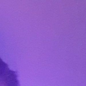 Meet your Posher, Cody